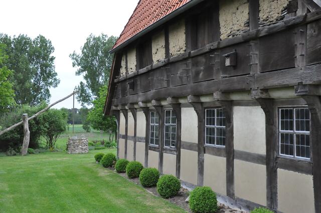 Im Detail - Wackerwinkel im Burgdorfer Land - ein Bericht von OKOK TELEVISION