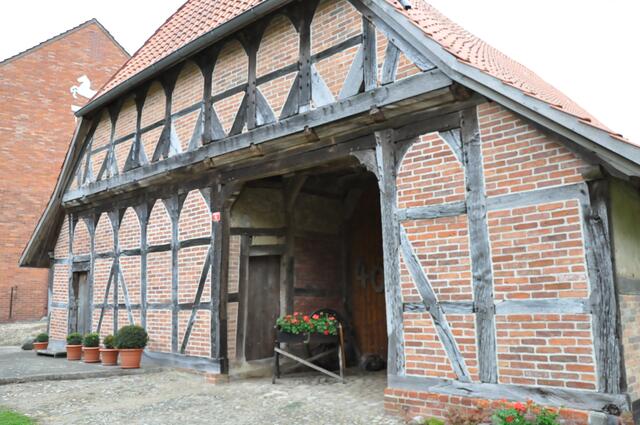 Im Detail - Wackerwinkel im Burgdorfer Land - ein Bericht von OKOK TELEVISION