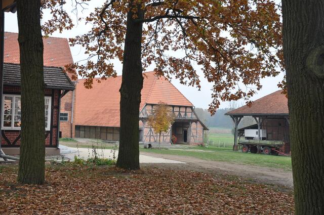 Im Detail - Wackerwinkel im Burgdorfer Land - ein Bericht von OKOK TELEVISION