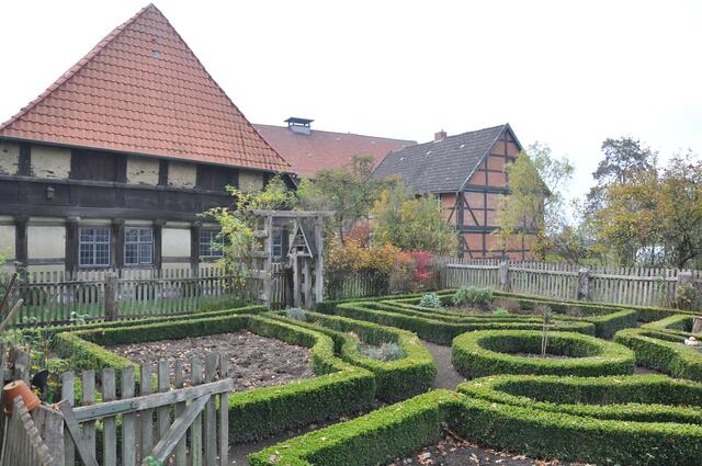 Im Detail - Wackerwinkel im Burgdorfer Land - ein Bericht von OKOK TELEVISION