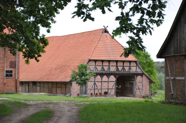 Im Detail - Wackerwinkel im Burgdorfer Land - ein Bericht von OKOK TELEVISION
