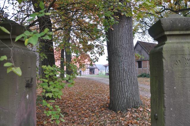 Im Detail - Wackerwinkel im Burgdorfer Land - ein Bericht von OKOK TELEVISION