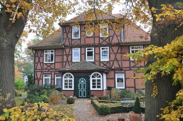 Im Detail - Wackerwinkel im Burgdorfer Land - ein Bericht von OKOK TELEVISION