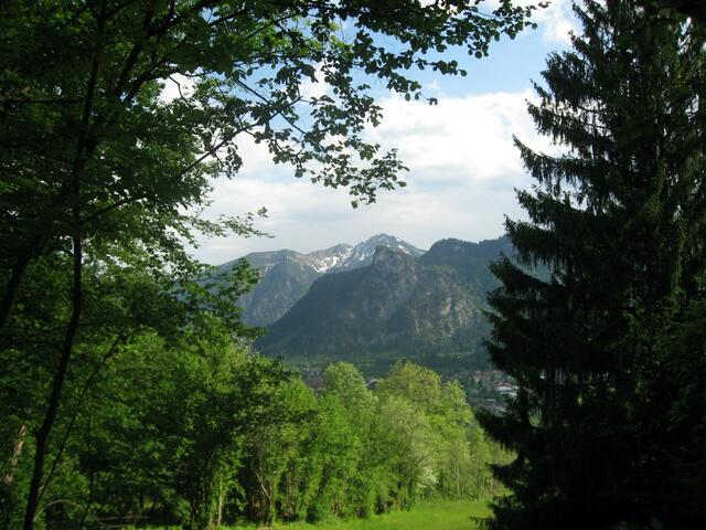 Blick aufs Ammergebirge.