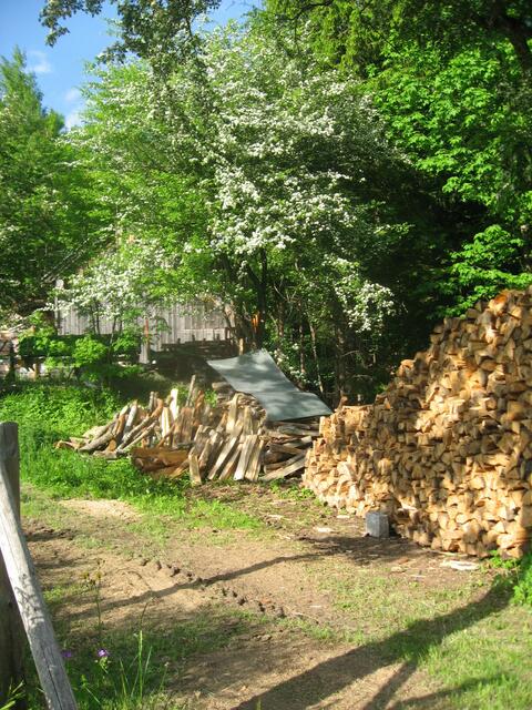 Holz für den Kachelofen.