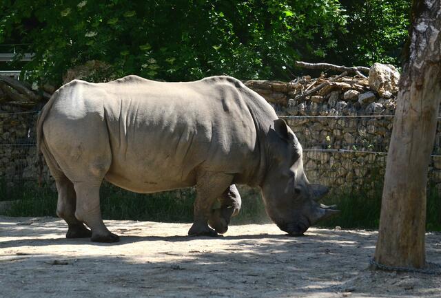 Kontaktlinse verloren...?