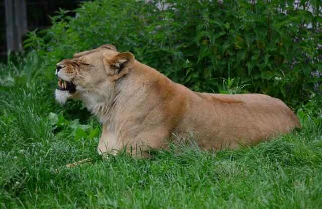 Wo bleibt er den nur...?