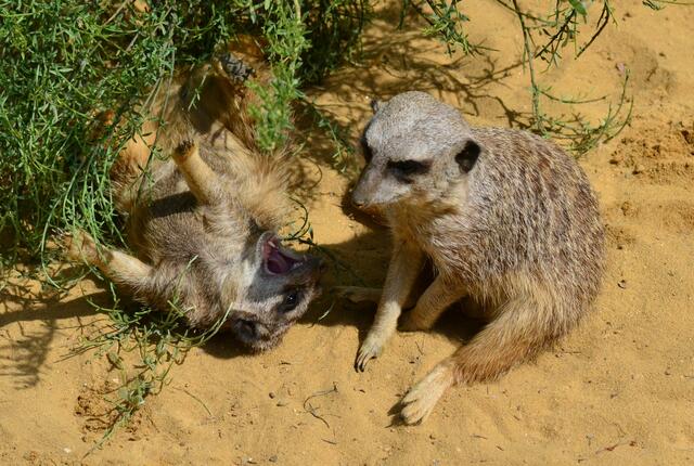 Irgendwie riechts hier komisch...