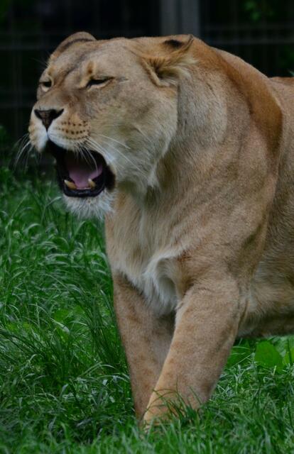 Herrrbert!!! Wo steckst Du...?