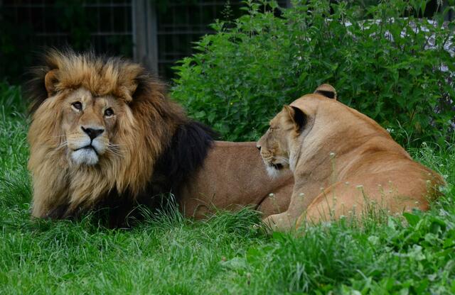 Was heißt hier Zahnarzt...