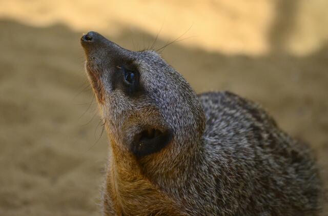 Da liegt was in der Luft...!