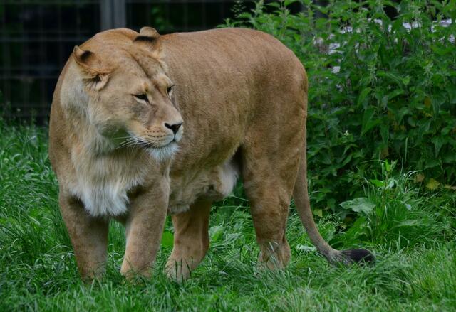 Naja... wenn Herbert jetzt nicht kommt, dann könnte ich ja noch meine "Geschäfte" erledigen!