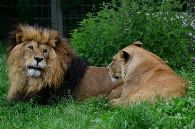 An alles soll ich denken, Herbert. Du benimmst Dich wie ein Kleinkind....