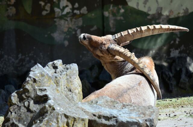 Was für ein schöner Tag...!