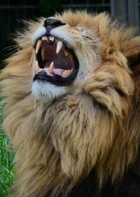 ...guck mal, alles tipptopp in Ordnung!