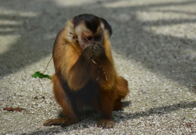 Ahhh, cooles Gras... *;o)