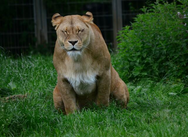 Kennen sie das auch...? Schrecklich, dieser harte Stuhlgang!