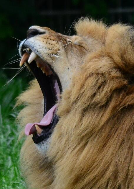 Ich bin kein Kleinkiiind...!!!!!!!