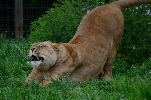 Meine Dehnübungen könnte ich noch machen...