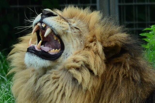 Najaaa, vielleicht mal wieder das bisschen Zahnstein entfernen.......?!