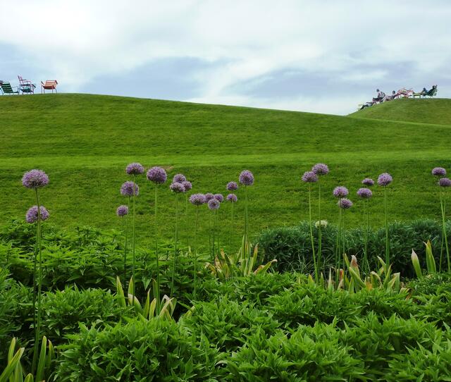 Sitzgelegenheiten auf den Pyramidenwiesen: Von hier aus hat man eine gute Aussicht über das Gartenschaugelände