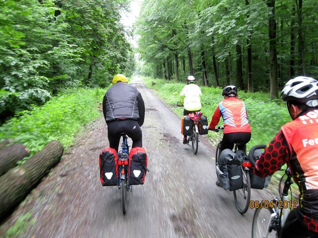 Im Schaumburger Wald
