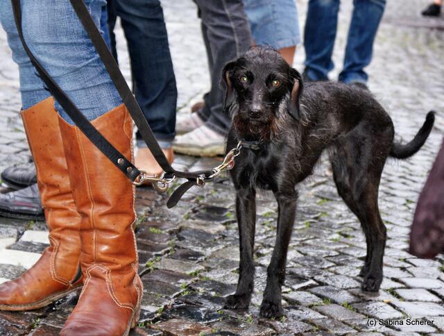 Mittendrin 2012 in Friedberg - Er war auch dabei!