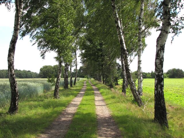 An diesem herrlichen Tag haben wir viel Natur erlebt und viel Wissenswertes erfahren. Nun noch 35 Kilometer zurück nach Hannover. Bewegung ist nicht nur für die Gesundheit gut, sondern macht auch noch viel Spaß.