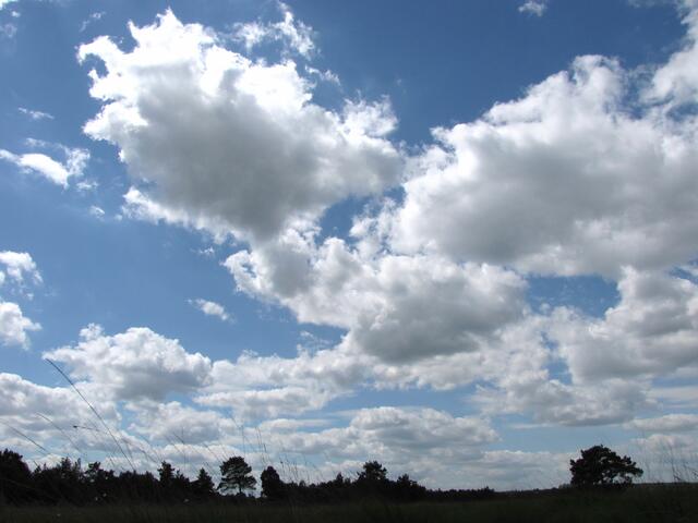 Ein weiter Himmel dehnt sich über einer weiten Moorfläche aus. Blick beim Aussichtsturm am nördlichen Moorrand.