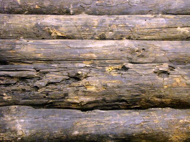 Die ältesten Bohlenwege durch Moore entstanden in Deutschland vor 10 000 Jahren. Dieser hier aus einem Moor bei Vechta ist immerhin 3 000 Jahre alt. Zu sehen im Landesmuseum in Hannover.