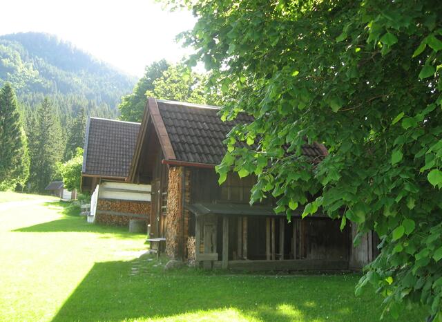 Das Paradies der "Stoderer". (Großstadtmenschen)
