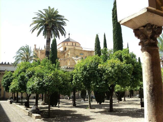 ORANGENHOF MIT KUPPEL DER MESQUITA