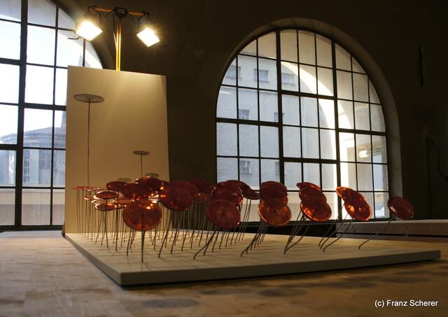 Grenzenlos-Festival Augsburg 2012