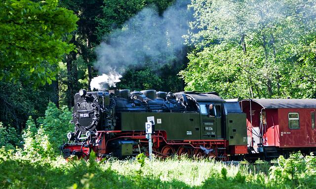 Die Brockenbahn mit der 99 236 auf dem Weg hinauf auf den Brocken.