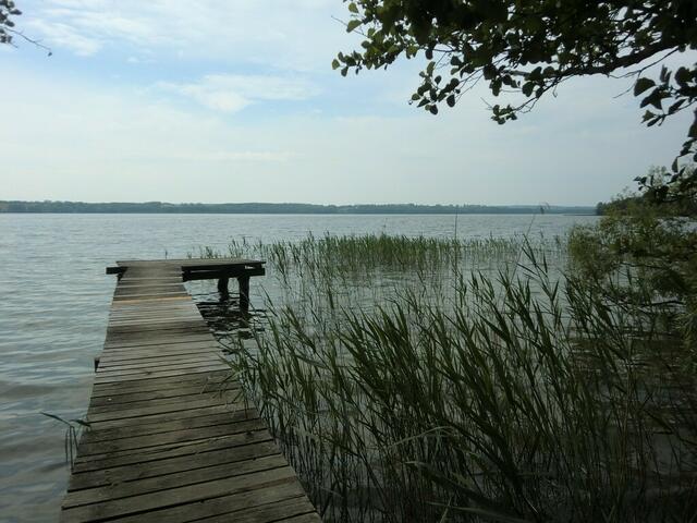 Schön wie in Masuren: an der Müritz.