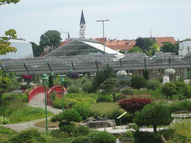 Stadtpfarrkirche im Hintergrund