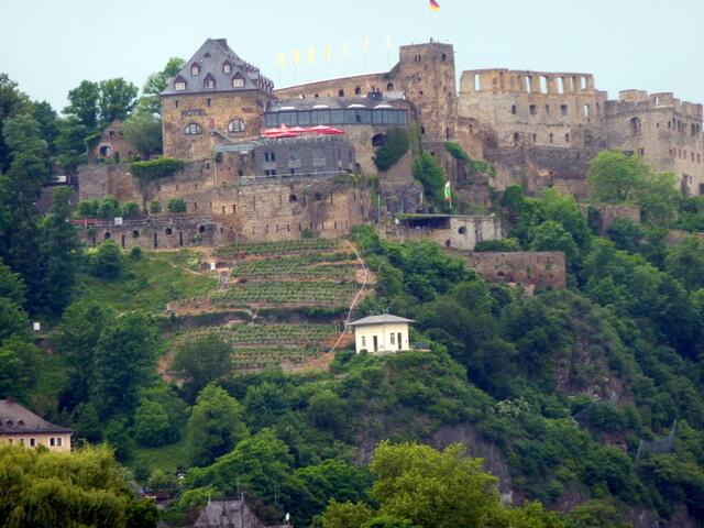 Schloss Rheinfels