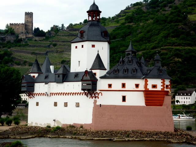 Die Pfalz im Rhein