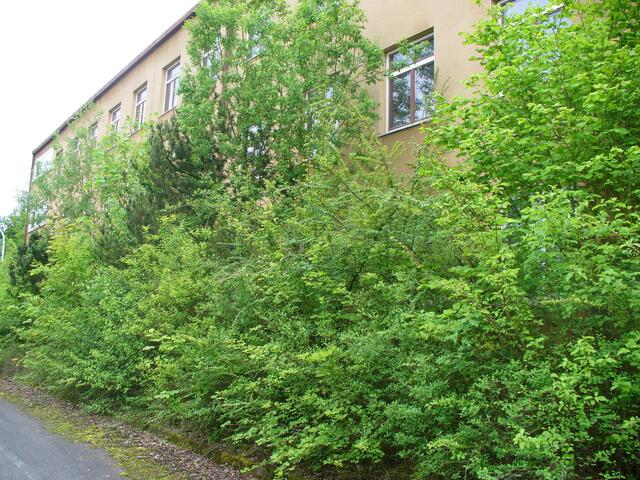 Ungenutztes Kompaniegebäude 2