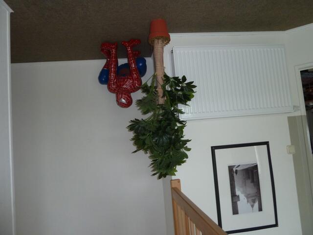 Jetzt klebt Spiderman unter der Decke.