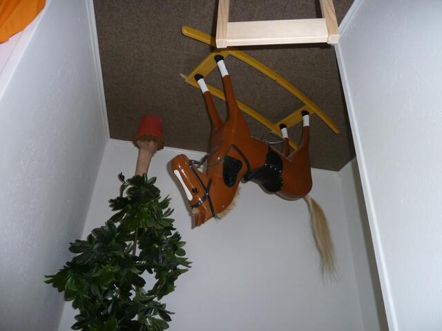 Hier muß man sich schon in die Mähne Krallen.