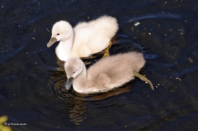 Erst mal noch etwas schwimmen.