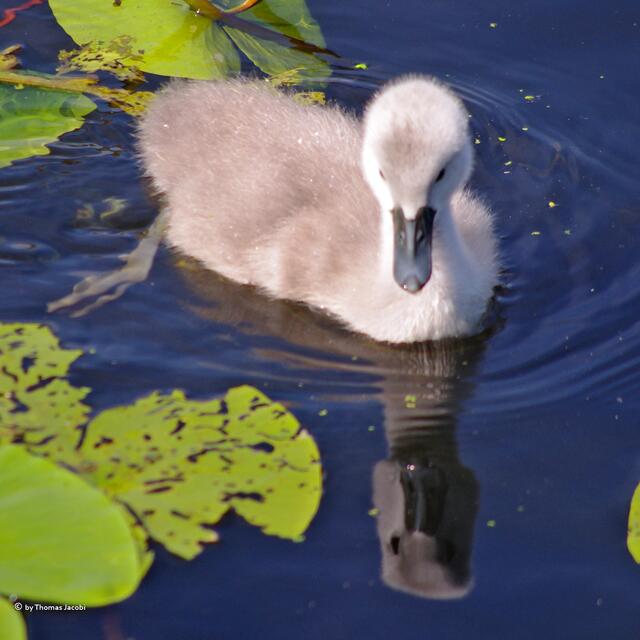 Ich seh' mich. :-)