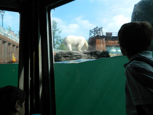 Blick in das Hafenbecken