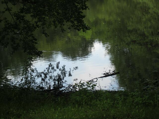 Was ist Wasser und was ist Baum?