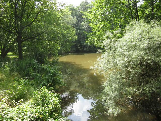 Schönes grün, die Parkseen in der Sonne