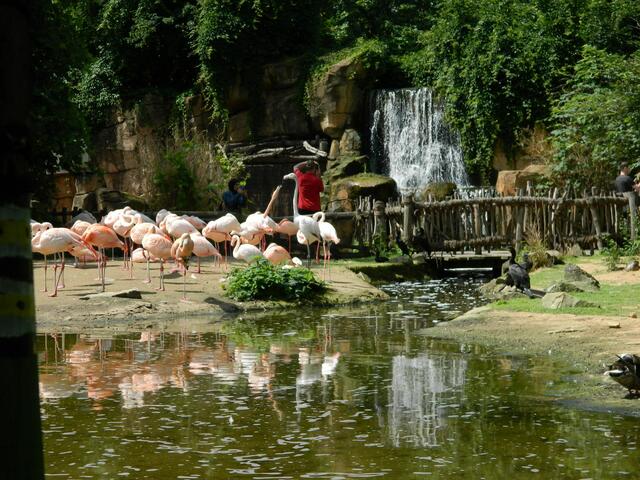 Am Wasserfall