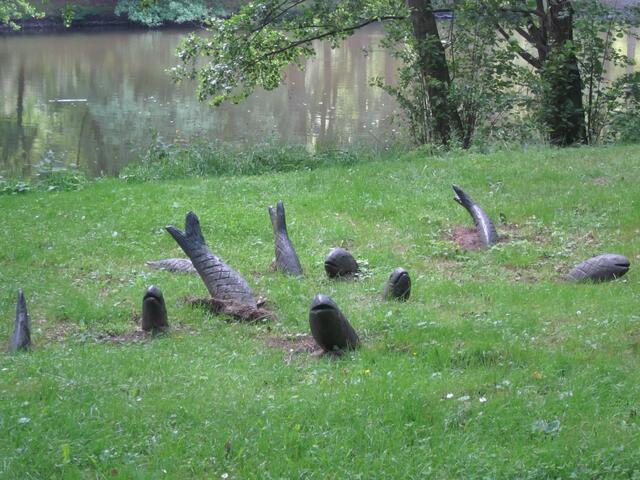 Fische auf der Wiese!