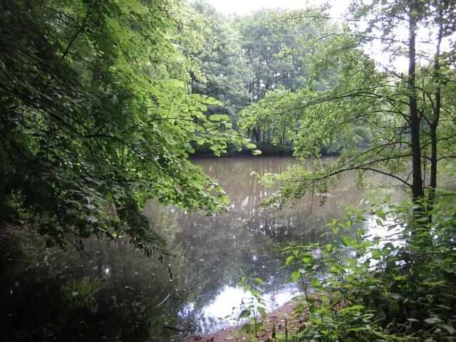Still und ruhig liegt der See vom Bäumen und Büschen umwuchert!