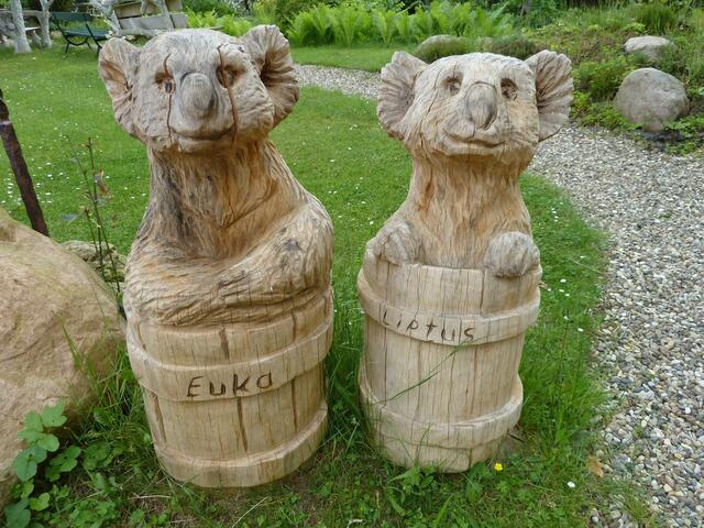 Euka und Liptus wollen auch mit in die Arche.